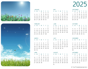 2025 photo calendar (horizontal layout)